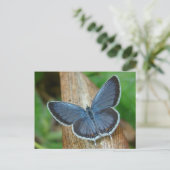 Blauwe vlinder briefkaart (Staand voorkant)