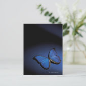 Blauwe vlinder briefkaart (Staand voorkant)