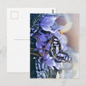 Blauwe vlinder briefkaart (Voorkant / Achterkant)