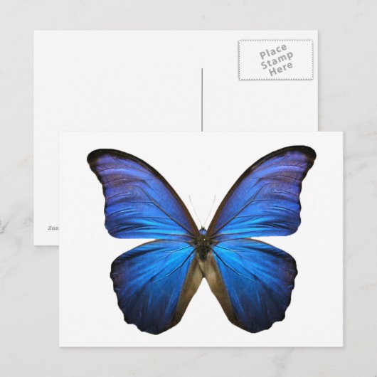 blauwe vlinder briefkaart (Voorkant / Achterkant)