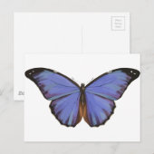 Blauwe vlinder briefkaart (Voorkant / Achterkant)