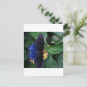 Blauwe vlinder briefkaart (Staand voorkant)