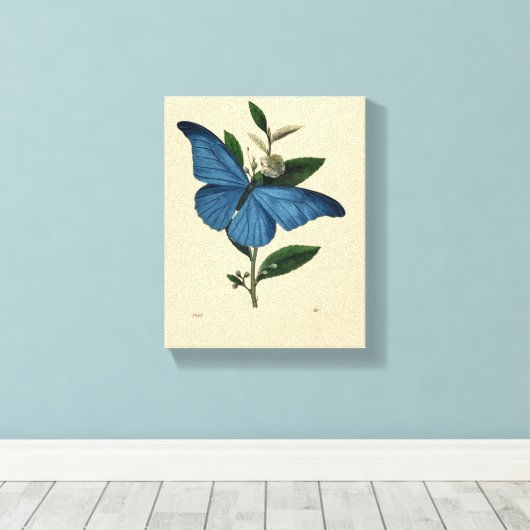  blauwe vlinder canvas afdruk (Insitu (Houten vloer))