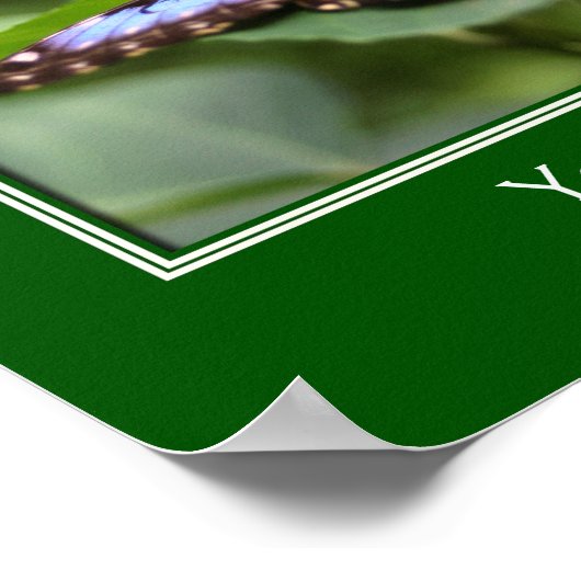 Blauwe vlinder Creëer Uw eigen offerte Poster (Hoek)