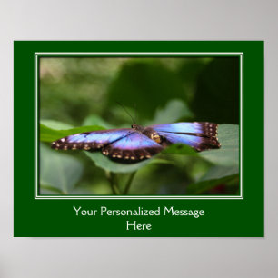 Blauwe vlinder Creëer Uw eigen offerte Poster