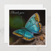 Blauwe Vlinder die zijn Aanpasbare Vleugels verspr (Voorkant / Achterkant)