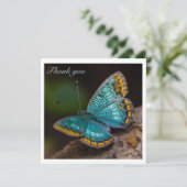 Blauwe Vlinder die zijn Aanpasbare Vleugels verspr (Staand voorkant)