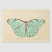  Blauwe Vlinder Ephemera Decoupage Blauwgroen Tis Tissuepapier (Voorkant)