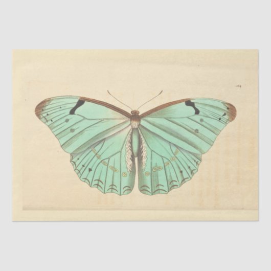 Blauwe Vlinder Ephemera Decoupage Blauwgroen Tis Tissuepapier (Voorkant)
