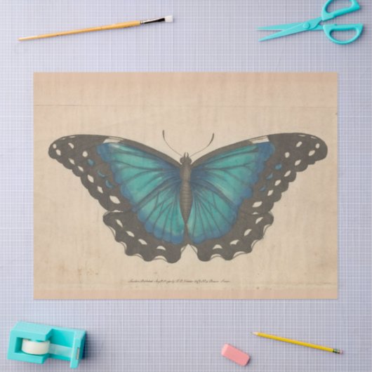 Blauwe Vlinder Ephemera Decoupage Blauwgroen Tis Tissuepapier (Craft)