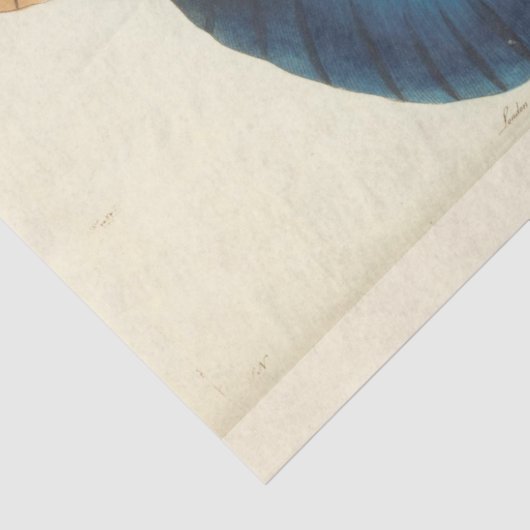 Blauwe Vlinder Ephemera Decoupage Blauwgroen Tissuepapier (Detail)