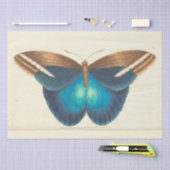  Blauwe Vlinder Ephemera Decoupage Blauwgroen Tissuepapier (Craft)