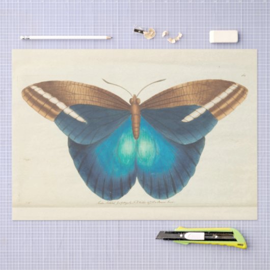 Blauwe Vlinder Ephemera Decoupage Blauwgroen Tissuepapier (Craft)