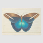 Blauwe Vlinder Ephemera Decoupage Blauwgroen Tissuepapier (Voorkant)