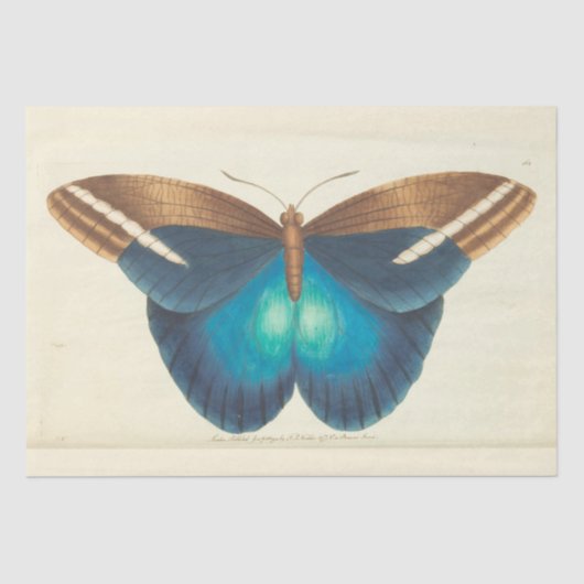  Blauwe Vlinder Ephemera Decoupage Blauwgroen Tissuepapier (Voorkant)
