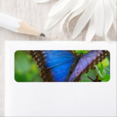 Blauwe vlinder etiket (Insitu)