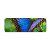 Blauwe vlinder etiket (Voorkant)