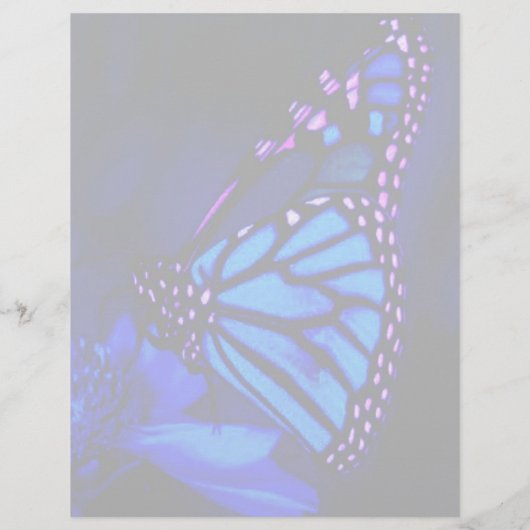 Blauwe vlinder flyer (Achterkant)