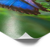 Blauwe vlinder foto afdruk (Hoek)