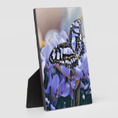 Blauwe vlinder fotoplaat (Zijkant)