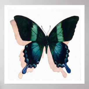 "Blauwe vlinder" Insecte Waterverf Art Poster