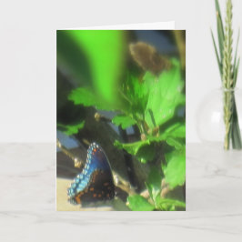 Blauwe vlinder kaart