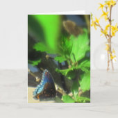 Blauwe vlinder kaart (Gele Bloem)