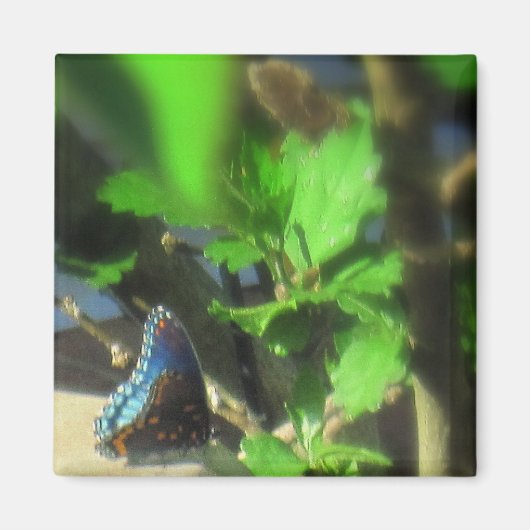 Blauwe Vlinder Magneet (Voorkant)