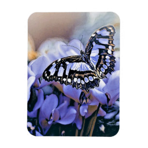 Blauwe vlinder magneet