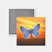 Blauwe vlinder magneet (Voorkant / Achterkant)