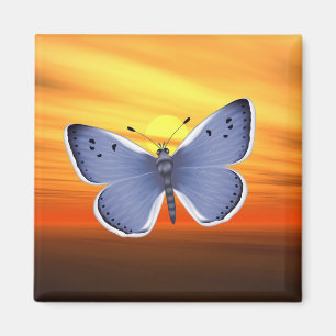 Blauwe vlinder magneet