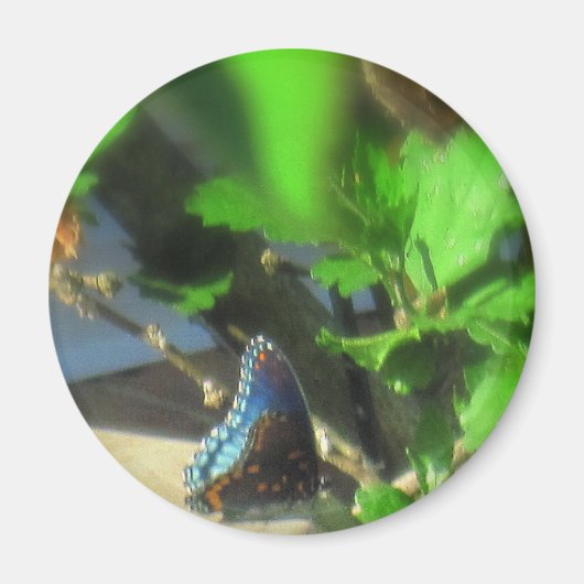 Blauwe vlinder magneet (Voorkant)