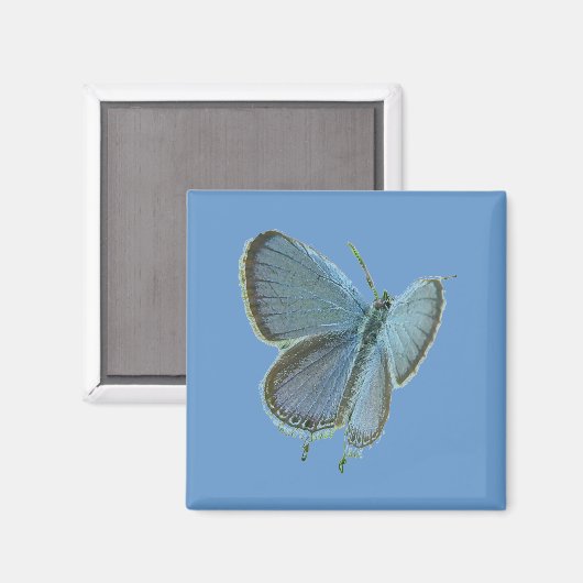 Blauwe vlinder met oosterse kop magneet (Voorkant / Achterkant)