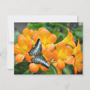 Blauwe vlinder met tropische Rhododendron Briefkaart