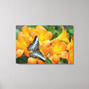 Blauwe vlinder met tropische Rhododendron Canvas Afdruk