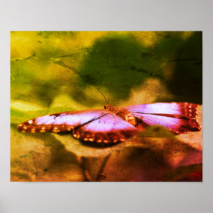 Blauwe Vlinder Natuur Gedecoreerde Kunst Poster