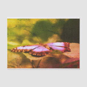 Blauwe vlinder Natuur  ontkoppeling Tissuepapier