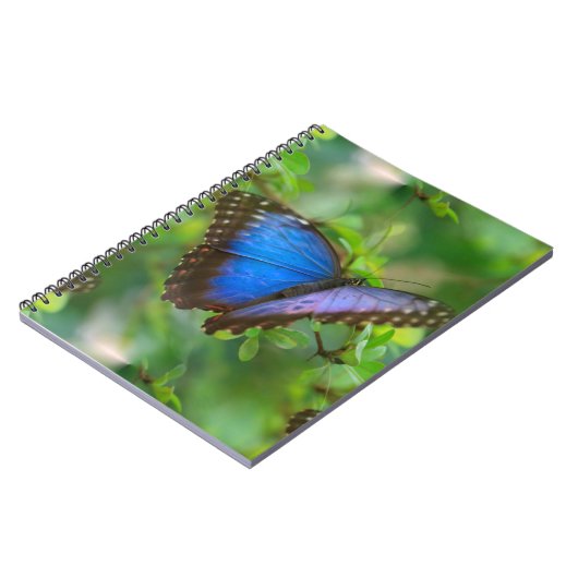 Blauwe vlinder notitieboek (Linkerzijde)