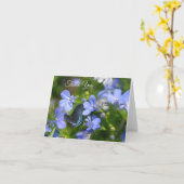 Blauwe vlinder op een blauwe ventilator kaart (Gele Bloem)