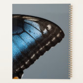 Blauwe vlinder planner (Achterkant)