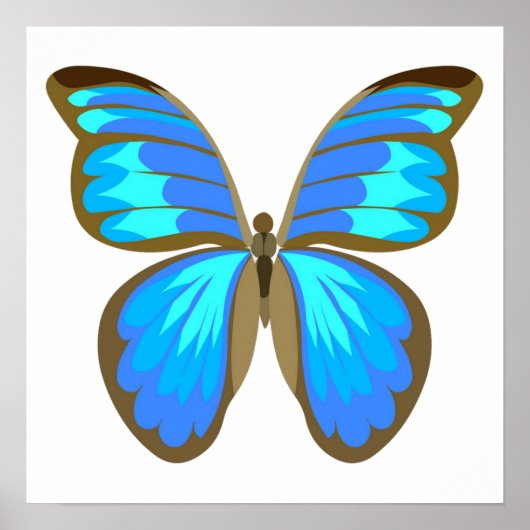 Blauwe vlinder poster (Voorkant)