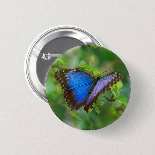 Blauwe vlinder ronde button 5,7 cm (Voorkant /achterkant)