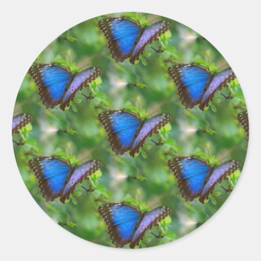 Blauwe vlinder ronde sticker (Voorkant)