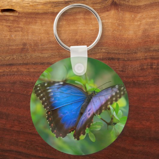 Blauwe vlinder sleutelhanger (Achterkant)