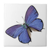 Blauwe vlinder tegeltje (Voorkant)