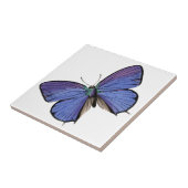 Blauwe vlinder tegeltje (Zijkant)