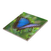 Blauwe vlinder tegeltje (Zijkant)