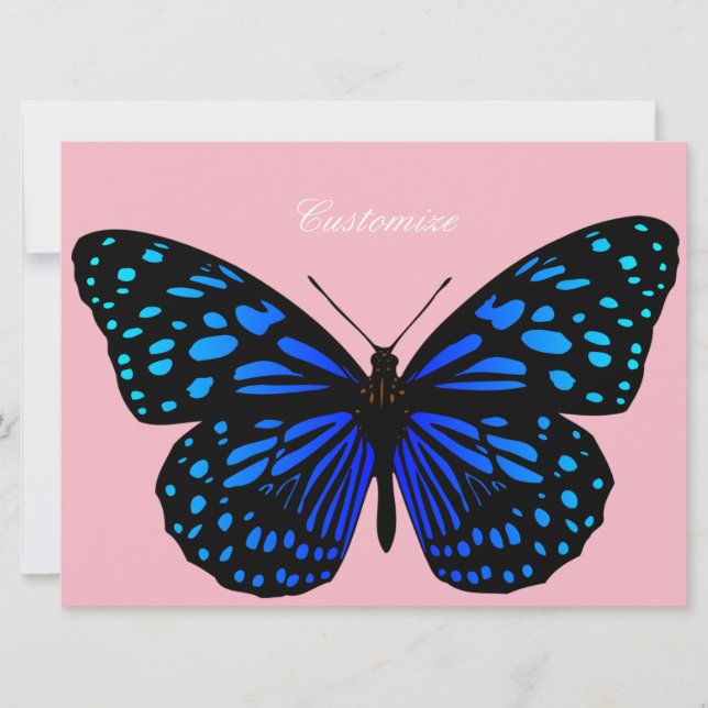 Blauwe vlinder Thunder_Cove (Voorkant)