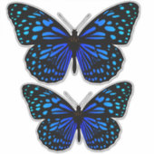 Blauwe vlinder Thunder_Cove Sticker (Voorkant)