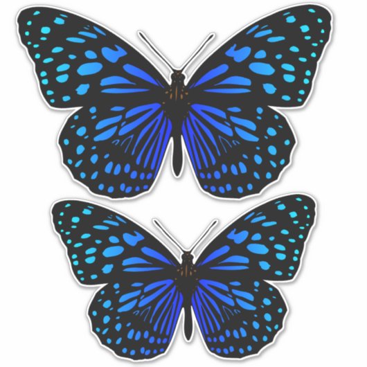 Blauwe vlinder Thunder_Cove Sticker (Voorkant)